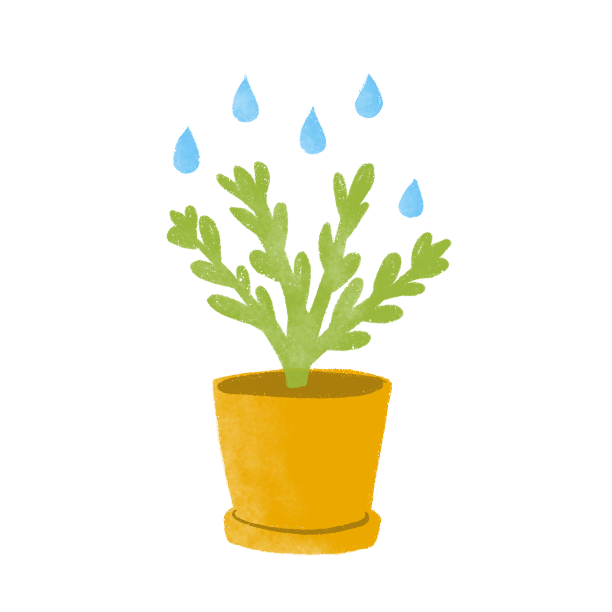 alx-icon-donate