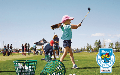 Birdies for Kids